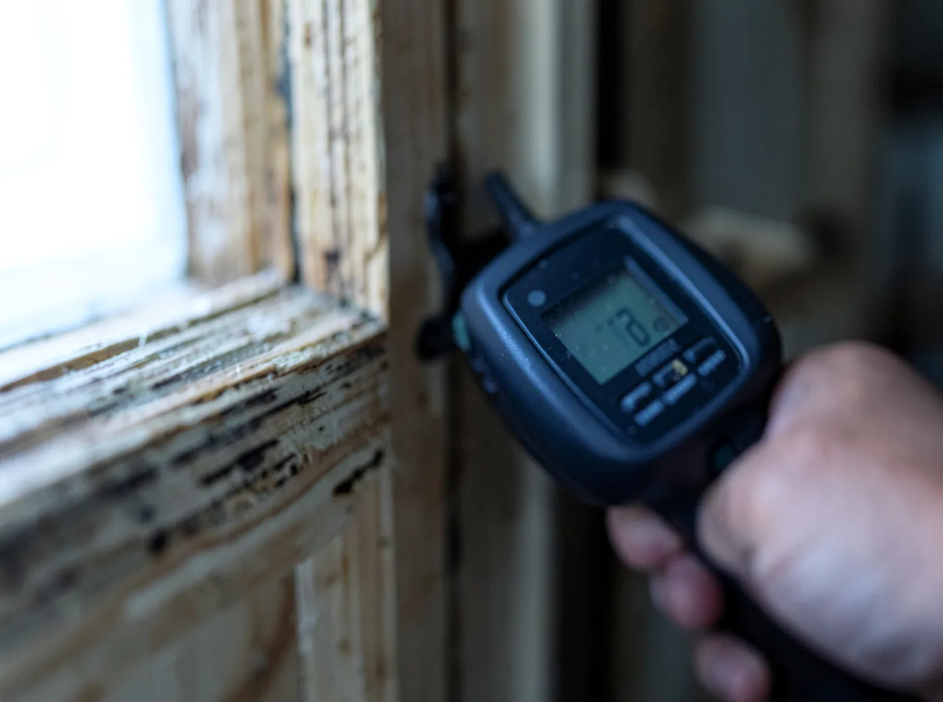 Water Damage Restoration Friday Harbor, WA FAQs